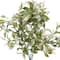 13" Ruscus Bush by Ashland®